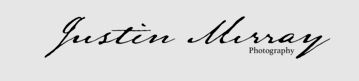 Screenshot 2025-04-10 093048 justin murray logo
