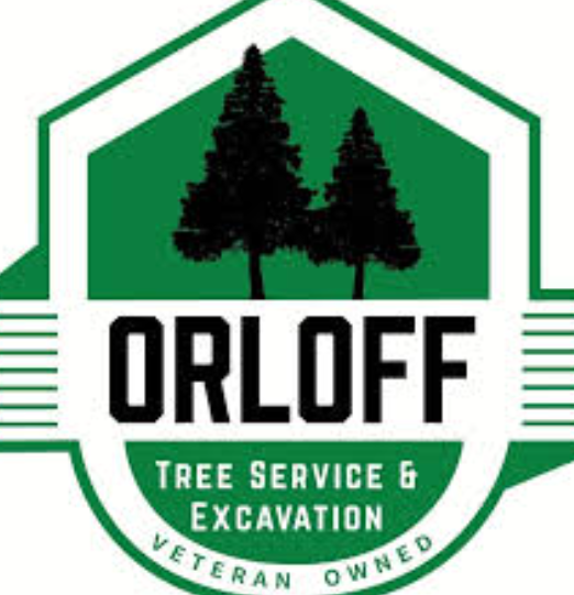 Screenshot 2025-04-10 095118 orloff logo